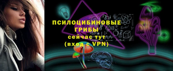мдпв Елизово
