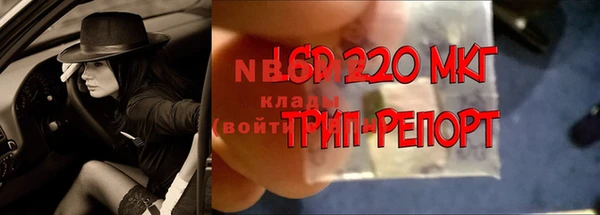 молекула духа Бикин