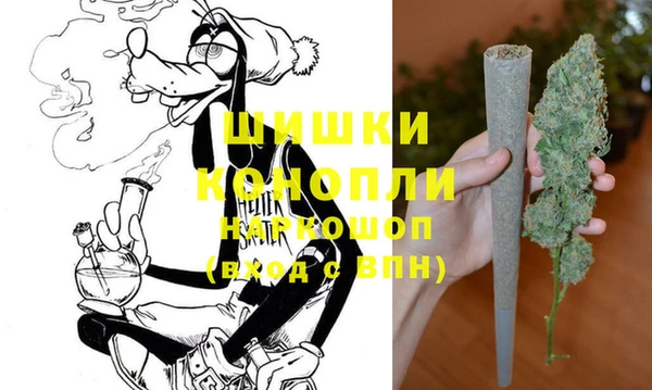 молекула духа Бикин