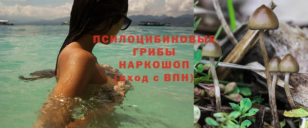 молекула духа Бикин