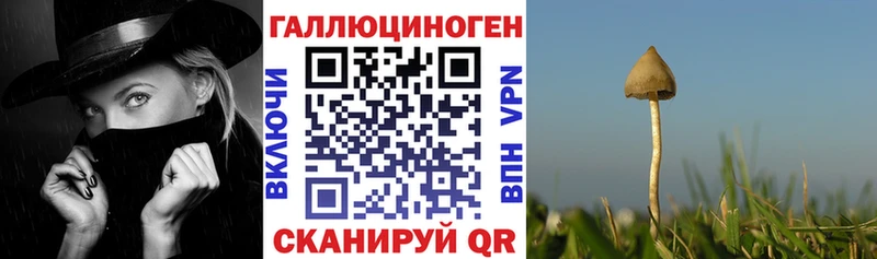 Псилоцибиновые грибы MAGIC MUSHROOMS купить наркоту Ефремов